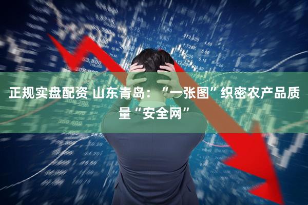 正规实盘配资 山东青岛：“一张图”织密农产品质量“安全网”